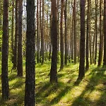 Trojmiasto Nad Jeziorem Dom -echochata Kamień