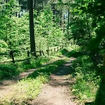 Trojmiasto Nad Jeziorem Dom -echochata Ferienhaus *