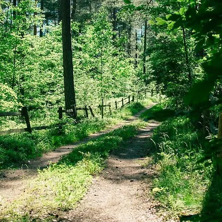 Trojmiasto Nad Jeziorem Dom -echochata Holiday home *