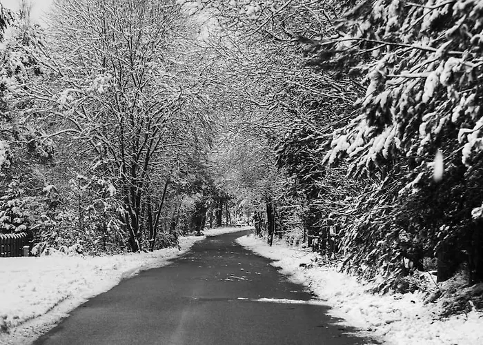 Trojmiasto Nad Jeziorem Dom -echochata *