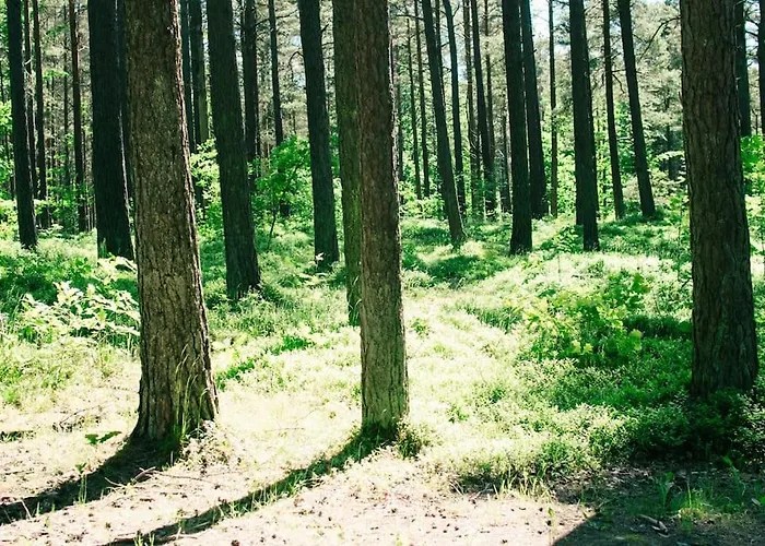 Prázdninový dům Trojmiasto Nad Jeziorem Dom -echochata