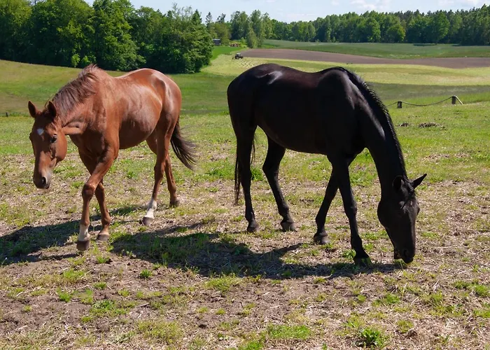 Prázdninový dům Trojmiasto Nad Jeziorem Dom -echochata