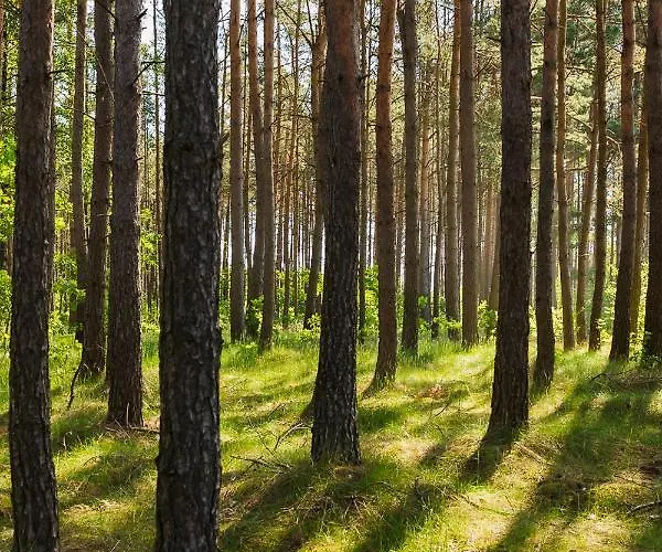 Trojmiasto Nad Jeziorem Dom -echochata Kamień
