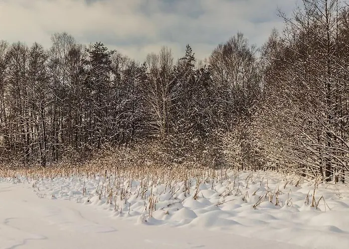 Prázdninový dům Trojmiasto Nad Jeziorem Dom -echochata Kamień