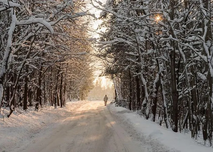Trojmiasto Nad Jeziorem Dom -echochata * Kamień