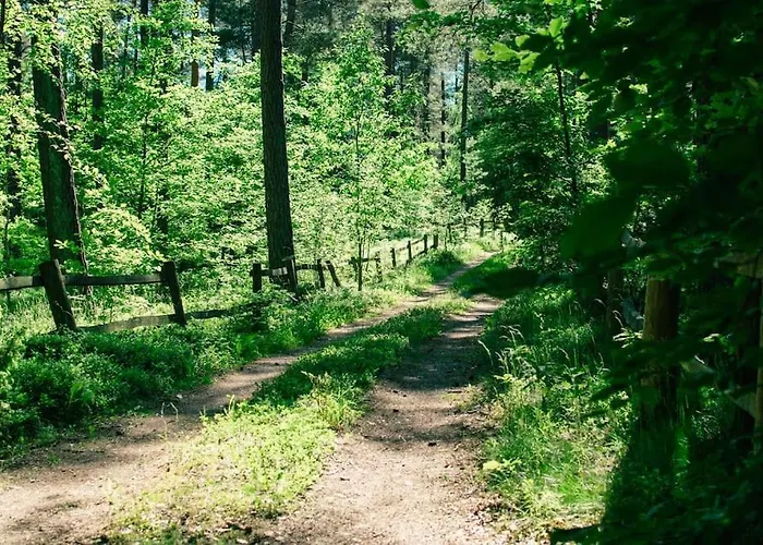 Trojmiasto Nad Jeziorem Dom -echochata Prázdninový dům *